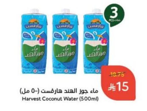العصائر و المشروبات in هايبر بنده, المملكة العربية السعودية Offers - المملكة العربية السعودية Coconut available at هايبر بنده in مملكة العربية السعودية, السعودية, سعودية - القنفذة