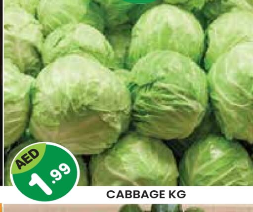 Cabbage available at Baniyas Spike  in UAE - Al Ain