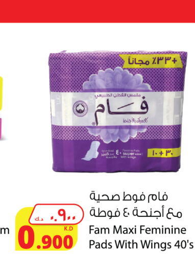 النظافة الشخصية النسائية in شركة المنتجات الزراعية الغذائية, الكويت Offers - الكويت فام available at شركة المنتجات الزراعية الغذائية in الكويت - محافظة الأحمدي