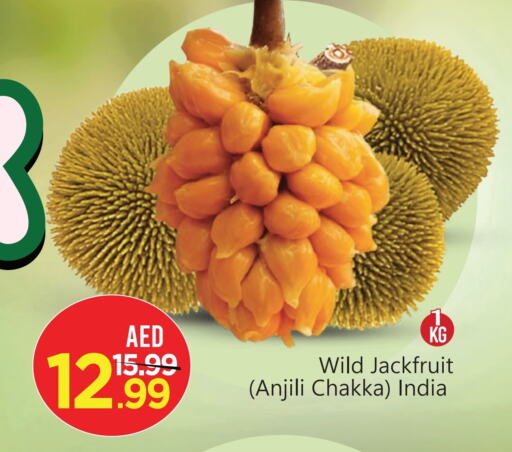 Jack fruit from India available at Mark & Save in UAE - Abu Dhabi