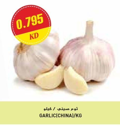 Garlic from China available at Grand Costo in Kuwait - Ahmadi Governorate