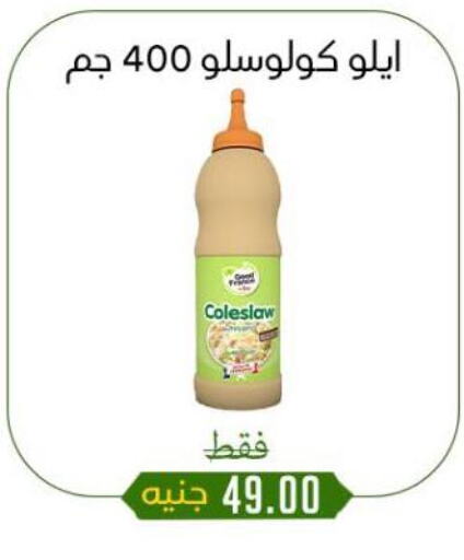 الصلصات والسبريد in خان الحسين, Egypt Offers - Egypt available at خان الحسين in Egypt - القاهرة