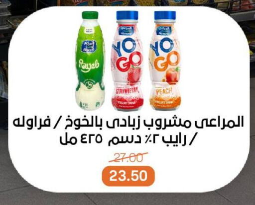 المراعي زبادي available at بيت الجملة in Egypt - القاهرة