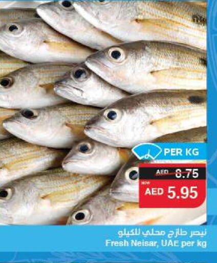 الأسماك الطازجة in سبار هايبرماركت, UAE Offers - الإمارات العربية المتحدة available at سبار هايبرماركت in الإمارات العربية المتحدة , الامارات - الشارقة / عجمان