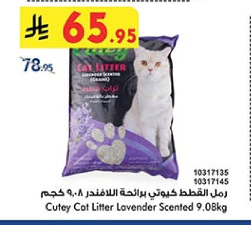 Pets in Bin Dawood, Saudi Arabia Offers - Saudi Arabia available at Bin Dawood in KSA, Saudi Arabia, Saudi - Khamis Mushait