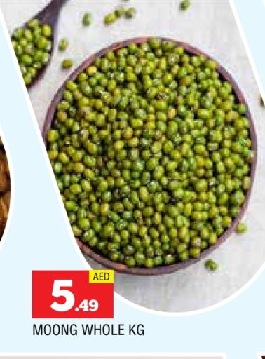 available at المدينة in الإمارات العربية المتحدة , الامارات - الشارقة / عجمان
