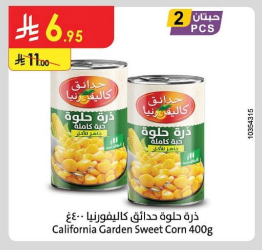 Canned & Packeted in Danube, Saudi Arabia Offers - Saudi Arabia CALIFORNIA GARDEN available at Danube in KSA, Saudi Arabia, Saudi - Al Hasa