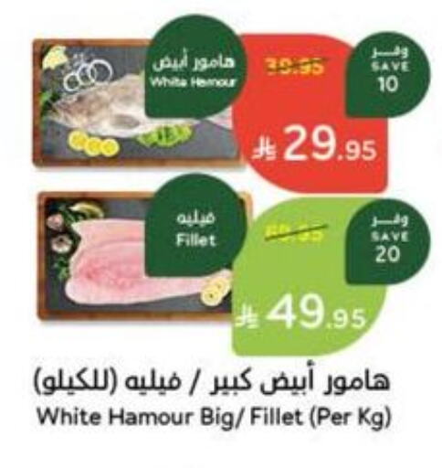سمك مجمد in هايبر بنده, المملكة العربية السعودية Offers - المملكة العربية السعودية available at هايبر بنده in مملكة العربية السعودية, السعودية, سعودية - الدوادمي