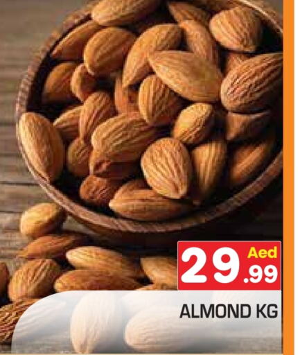 available at سنابل بني ياس in الإمارات العربية المتحدة , الامارات - أبو ظبي