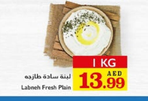 Yogurt & Labneh in Trolleys Supermarket, UAE Offers - United Arab Emirates Labneh available at Trolleys Supermarket in UAE - Sharjah / Ajman