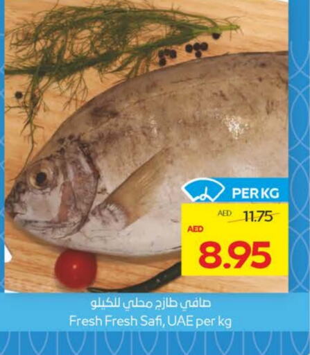 الأسماك الطازجة in ميغا مارت سوبر ماركت, UAE Offers - الإمارات العربية المتحدة available at ميغا مارت سوبر ماركت in الإمارات العربية المتحدة , الامارات - الشارقة / عجمان
