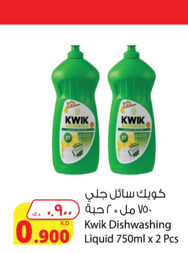 Dishwasher in Agricultural Food Products Co., Kuwait Offers - Kuwait KWIK available at Agricultural Food Products Co. in Kuwait - Ahmadi Governorate