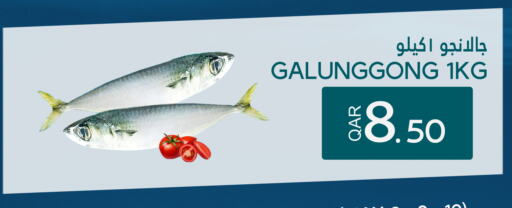 available at Food Palace Hypermarket in Qatar - Al Wakra