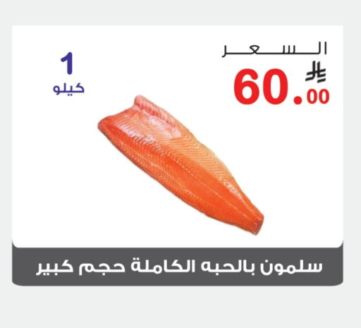 Fresh Fish in Al Rasheed Markets, Saudi Arabia Offers - Saudi Arabia available at Al Rasheed Markets in KSA, Saudi Arabia, Saudi - Riyadh