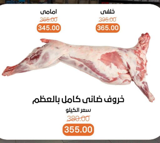 اللحوم الطازجة والمبردة in بيت الجملة, Egypt Offers - Egypt available at بيت الجملة in Egypt - القاهرة