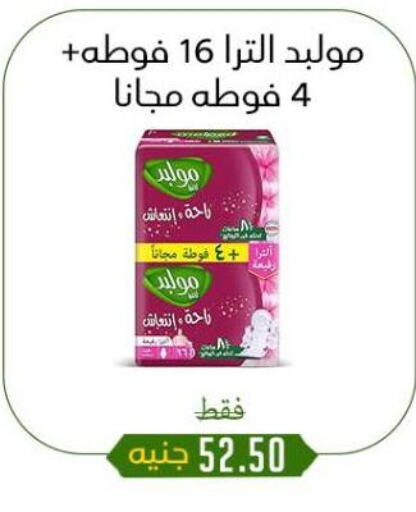 النظافة الشخصية النسائية in خان الحسين, Egypt Offers - Egypt available at خان الحسين in Egypt - القاهرة