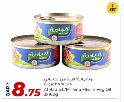 تونة - معلب available at روابي هايبرماركت in قطر - الريان