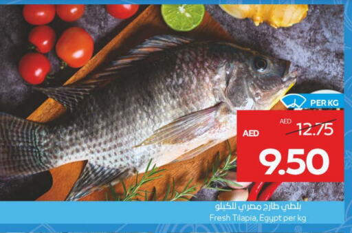 الأسماك الطازجة in ميغا مارت سوبر ماركت, UAE Offers - الإمارات العربية المتحدة available at ميغا مارت سوبر ماركت in الإمارات العربية المتحدة , الامارات - الشارقة / عجمان
