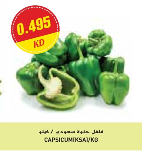 Chilli / Capsicum available at Grand Costo in Kuwait - Kuwait City