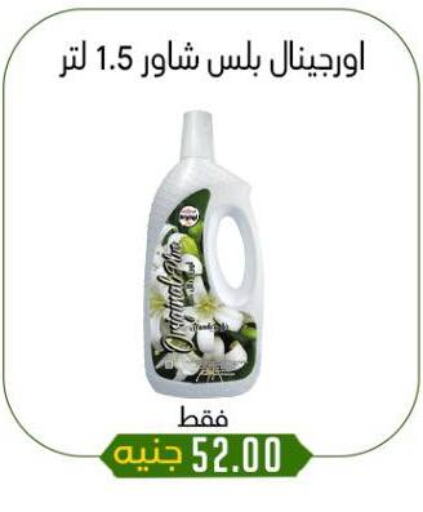 available at خان الحسين in Egypt - القاهرة