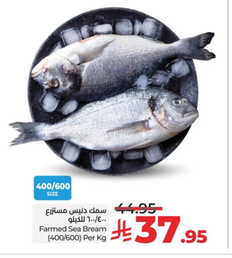 الأسماك الطازجة in لولو هايبرماركت, المملكة العربية السعودية Offers - المملكة العربية السعودية available at لولو هايبرماركت in مملكة العربية السعودية, السعودية, سعودية - خميس مشيط