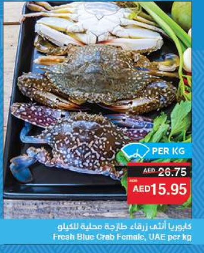 الأسماك الطازجة in سبار هايبرماركت, UAE Offers - الإمارات العربية المتحدة available at سبار هايبرماركت in الإمارات العربية المتحدة , الامارات - الشارقة / عجمان