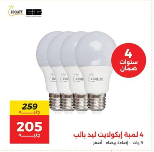 available at Raneen in Egypt - Cairo