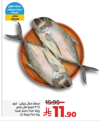 الأسماك الطازجة in لولو هايبرماركت, المملكة العربية السعودية Offers - المملكة العربية السعودية available at لولو هايبرماركت in مملكة العربية السعودية, السعودية, سعودية - حفر الباطن