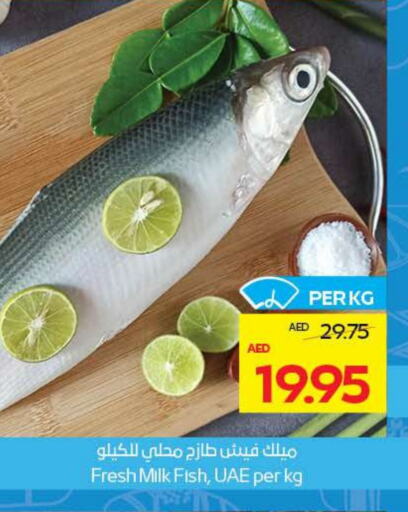 available at ADCOOP in UAE - Abu Dhabi