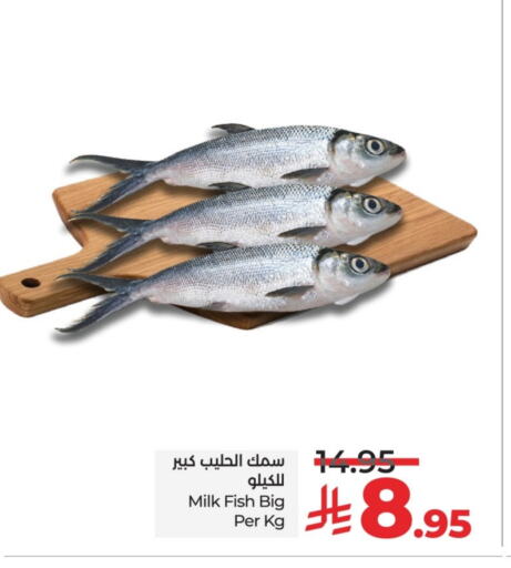 الأسماك الطازجة in لولو هايبرماركت, المملكة العربية السعودية Offers - المملكة العربية السعودية available at لولو هايبرماركت in مملكة العربية السعودية, السعودية, سعودية - خميس مشيط