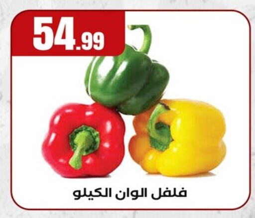 Fresh Vegetables in El Mahlawy Stores, Egypt Offers - Egypt Chilli / Capsicum available at El Mahlawy Stores in Egypt - Cairo