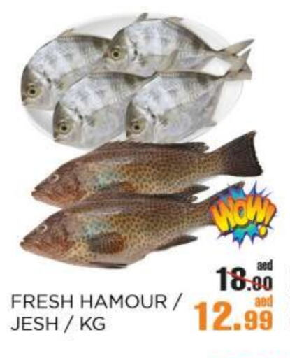 available at OK Hypermarket LLC SPC in UAE - Abu Dhabi
