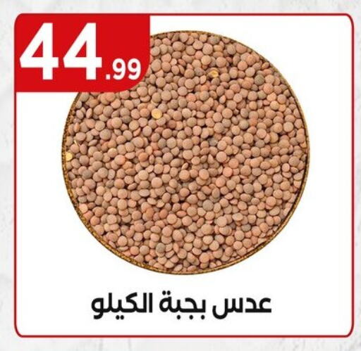 available at مارت فيل in Egypt - القاهرة