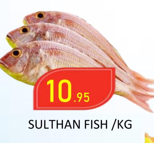 available at ROYAL GULF HYPERMARKET LLC in UAE - Abu Dhabi