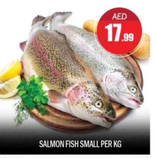 available at BIGmart in UAE - Abu Dhabi