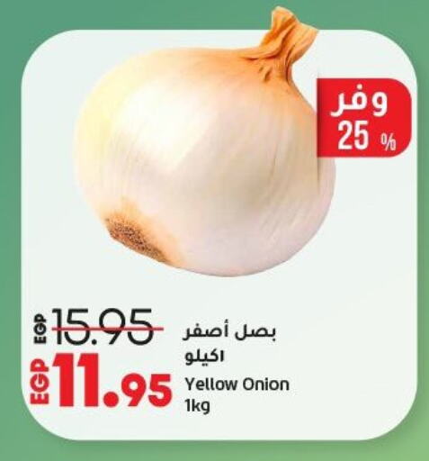 بصل available at لولو هايبرماركت in Egypt - القاهرة