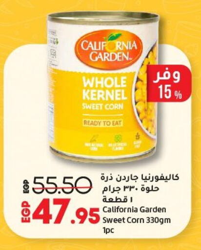 Canned & Packeted in Lulu Hypermarket , Egypt Offers - Egypt CALIFORNIA GARDEN available at Lulu Hypermarket in Egypt - Cairo