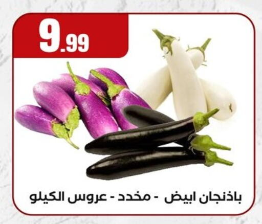 الخضروات الطازجة in المحلاوي ستورز, Egypt Offers - Egypt available at المحلاوي ستورز in Egypt - القاهرة