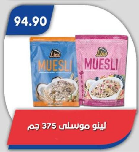 الحبوب والقطع in باسم ماركت, Egypt Offers - Egypt حبوب الإفطار available at باسم ماركت in Egypt - القاهرة
