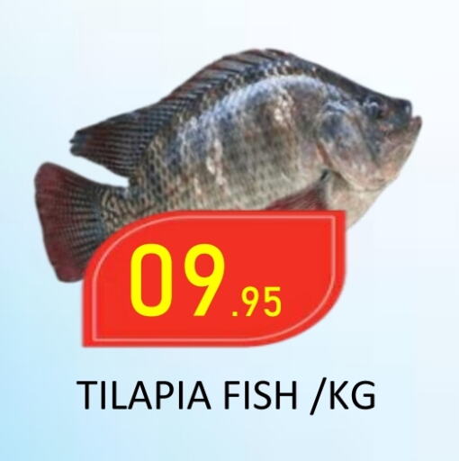 available at ROYAL GULF HYPERMARKET LLC in UAE - Abu Dhabi