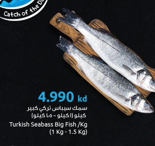 available at The Sultan Center in Kuwait - Ahmadi Governorate
