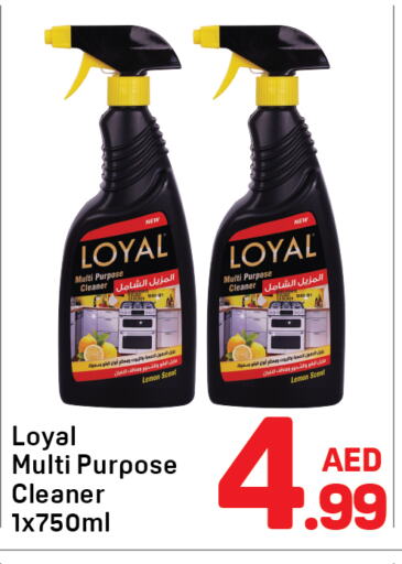 Cleaning in Day to Day Department Store, UAE Offers - United Arab Emirates General Cleaner available at Day to Day Department Store in UAE - Sharjah / Ajman