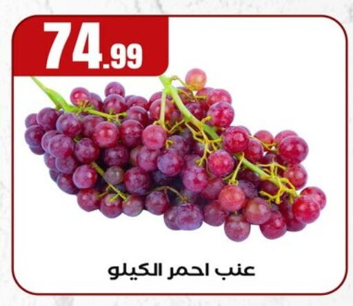 فاكهة طازجة in المحلاوي ستورز, Egypt Offers - Egypt عنب available at المحلاوي ستورز in Egypt - القاهرة