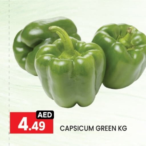 Fresh Vegetables in LIYAKKAS HYPERMARKET LLC, UAE Offers - United Arab Emirates Chilli / Capsicum available at LIYAKKAS HYPERMARKET LLC in UAE - Abu Dhabi