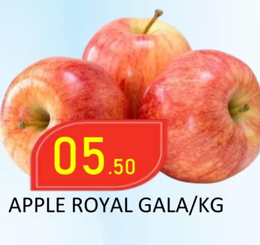 Apples available at ROYAL GULF HYPERMARKET LLC in UAE - Abu Dhabi