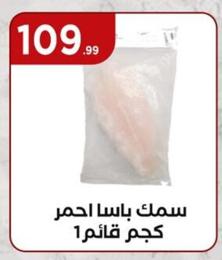سمك مجمد in المحلاوي ستورز, Egypt Offers - Egypt available at المحلاوي ستورز in Egypt - القاهرة