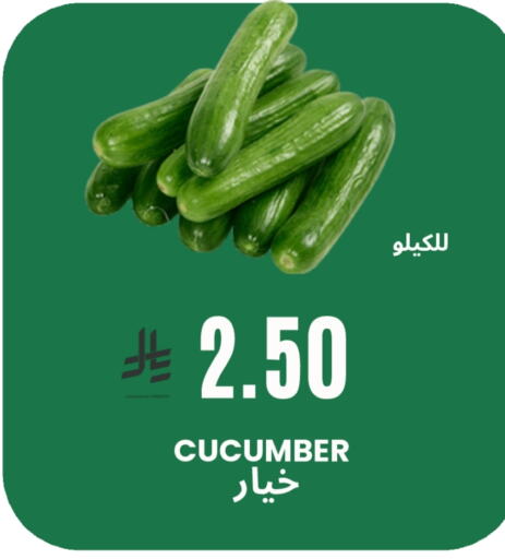 Fresh Vegetables in Al Basma Al Khalida Markets, Saudi Arabia Offers - Saudi Arabia Cucumber available at Al Basma Al Khalida Markets in KSA, Saudi Arabia, Saudi - Khamis Mushait