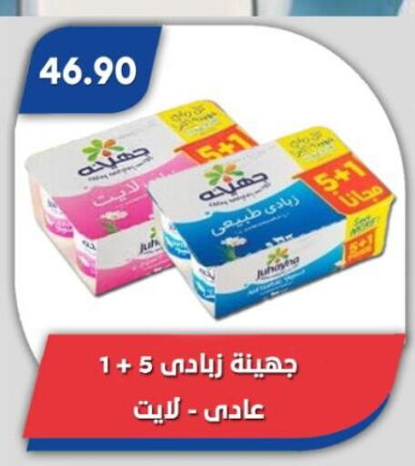زبادي و لبنة in باسم ماركت, Egypt Offers - Egypt زبادي available at باسم ماركت in Egypt - القاهرة