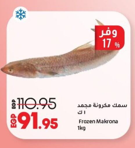 الأسماك الطازجة in لولو هايبرماركت, Egypt Offers - Egypt available at لولو هايبرماركت in Egypt - القاهرة