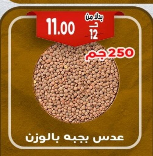 البقول، الفول والحبوب in بندق ماركت, Egypt Offers - Egypt available at بندق ماركت in Egypt - القاهرة